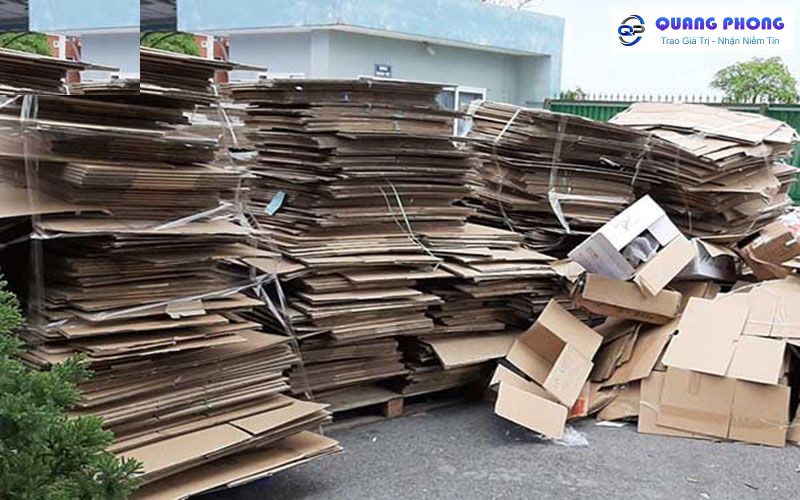 Thu mua giấy carton, giấy báo — thị trường tái chế giấy Việt Nam